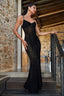 Patterned Velvet on Mesh Gown in Black